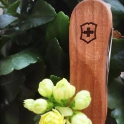 Victorinox Nail Clip 580 - Walnut -Online Camping Supplies 0.6461.63 5 600x600 5830c94e 67cf 474d b2ba 9efa7ef6d0f0