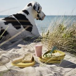 Light My Fire Eat´n Drink Kit BIO For 4 Nature -Online Camping Supplies 2f9ba20e0235df98918201b6cf544baa 1