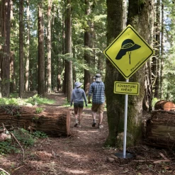 Sunday Afternoon Adventure Hat -Online Camping Supplies 5 e71e76a6 ea3c 4ba7 ab16 371f69d27e49