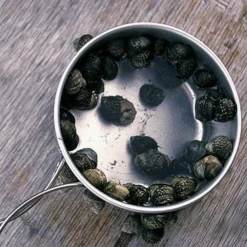 Snow Peak Titanium Personal Cookerset -Online Camping Supplies 5 f4a24d2b 74c1 4d6c b87f 1a2061f2d3b5