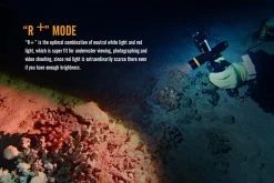 Fenix SD11 XM-L2 U2 Diving Photographic Light -Online Camping Supplies Fenix SD11 Diving Flashlight red plus mode