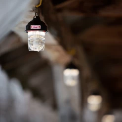 Barebones Beacon Kraft Packaging - Olive -Online Camping Supplies LIV 297 5