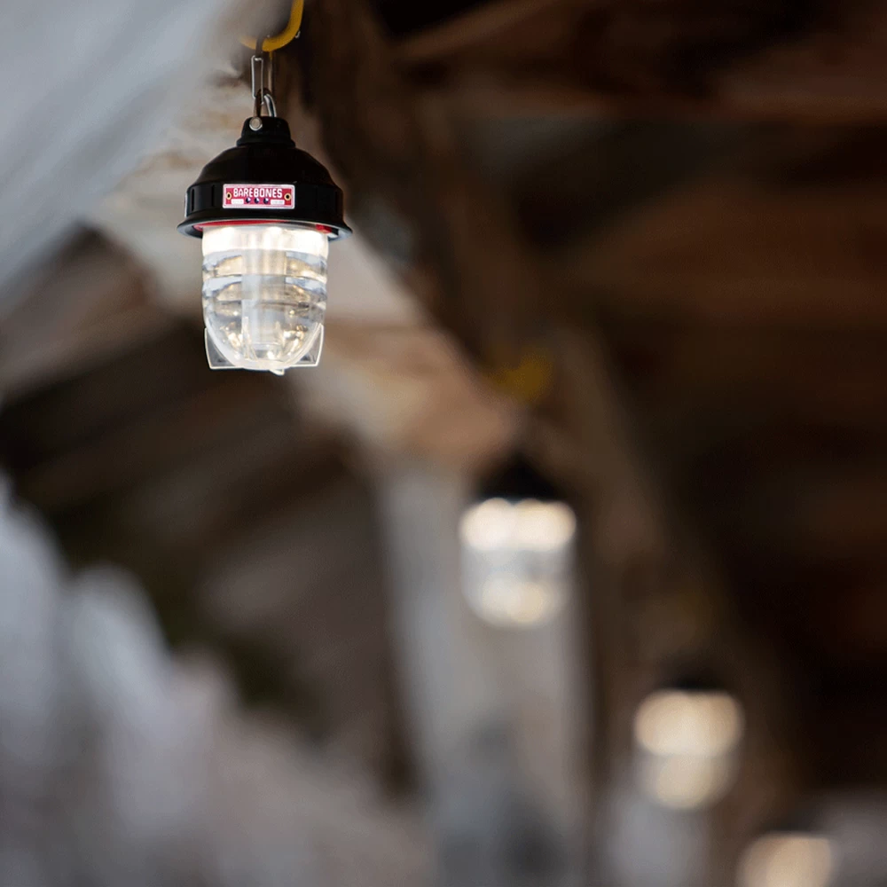 Barebones Beacon Kraft Packaging - Gray 7 Barebones Beacon Kraft Packaging - Gray - Image 5