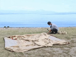 DoD Eight Tent -Online Camping Supplies t5 668 tn kh top band 05